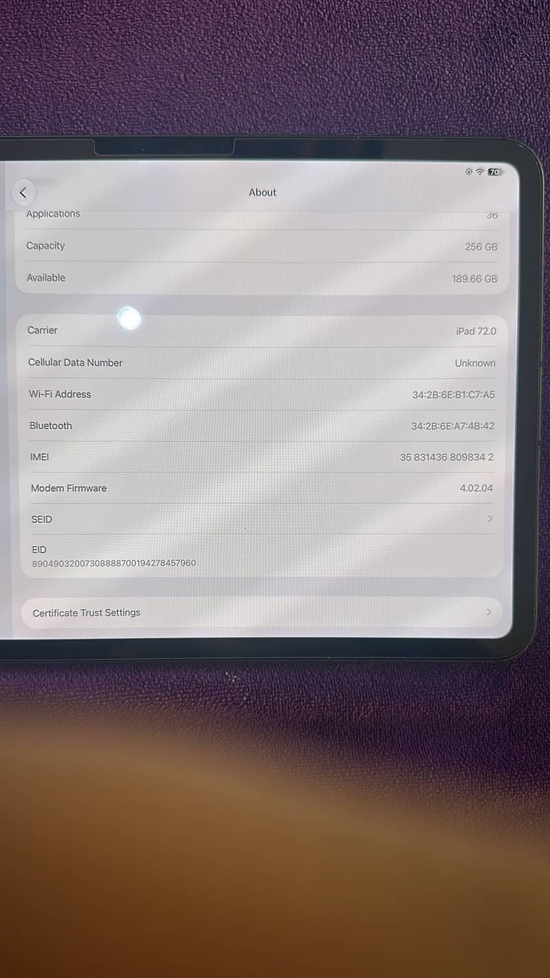 iPad pro 11 inch M4 cellular 6