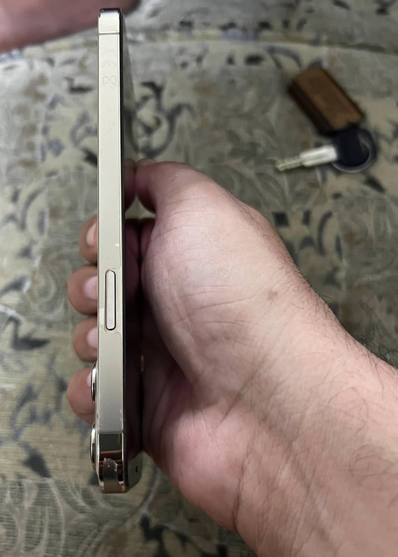 Apple iPhone 12 Pro Max 1