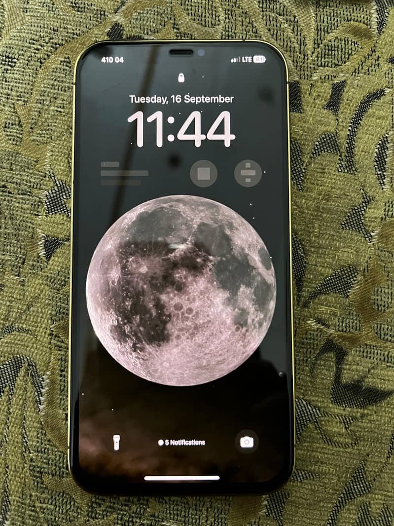 Apple iPhone 12 Pro Max 3