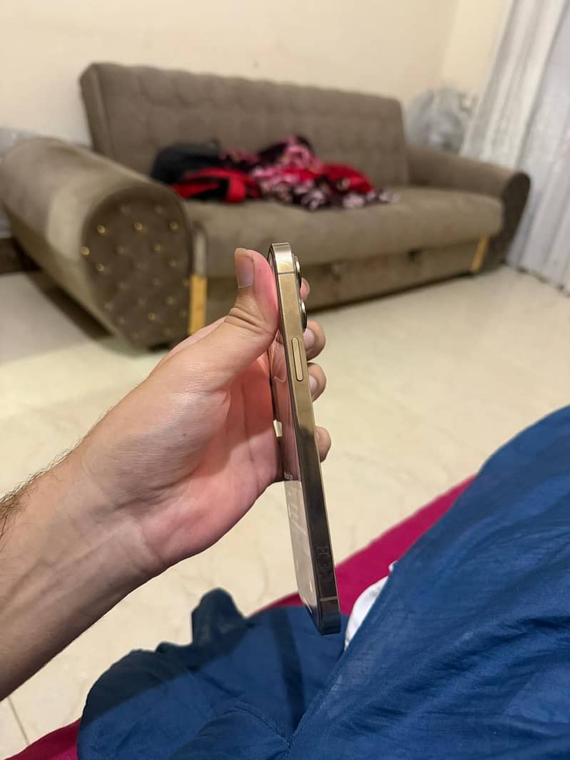 Apple iPhone 13 Pro Max 2