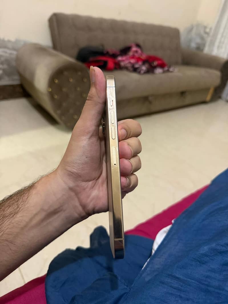 Apple iPhone 13 Pro Max 4