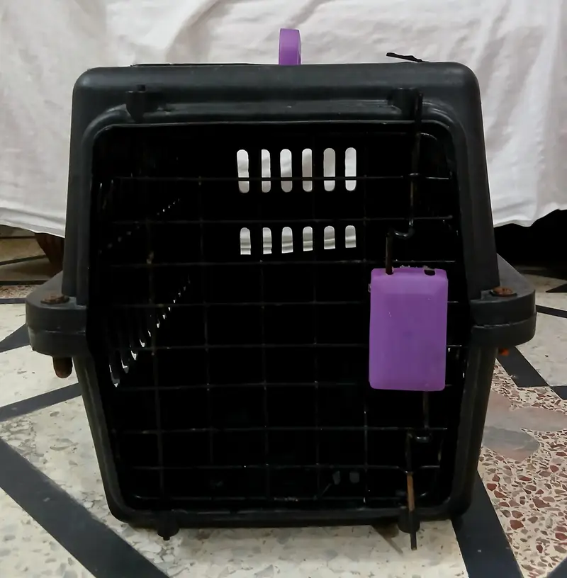 Pet Carrier Box for Cats & Dogs Black with purple components