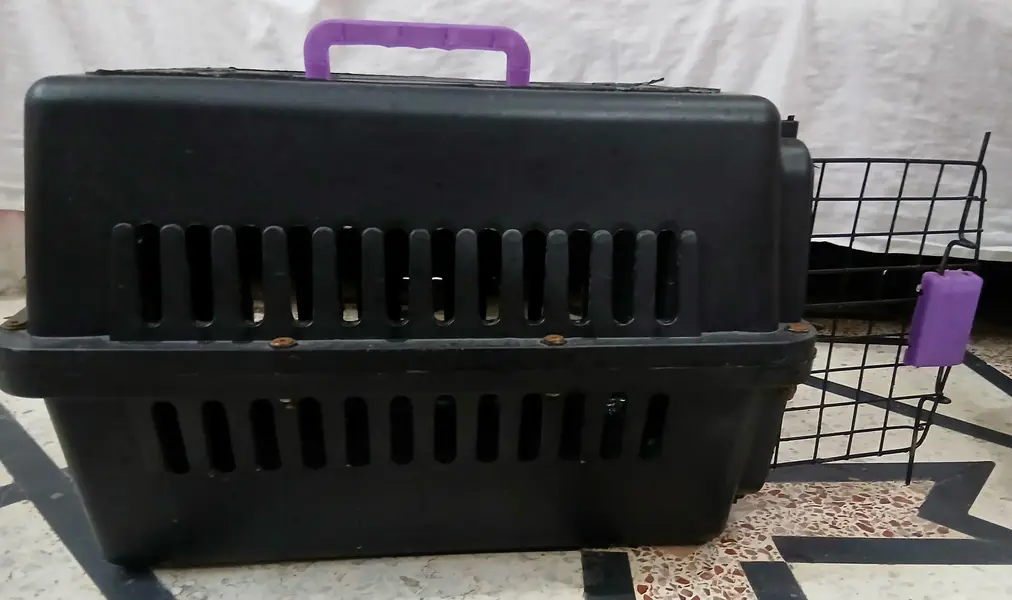 Pet Carrier Box for Cats & Dogs Black with purple components — photo 2