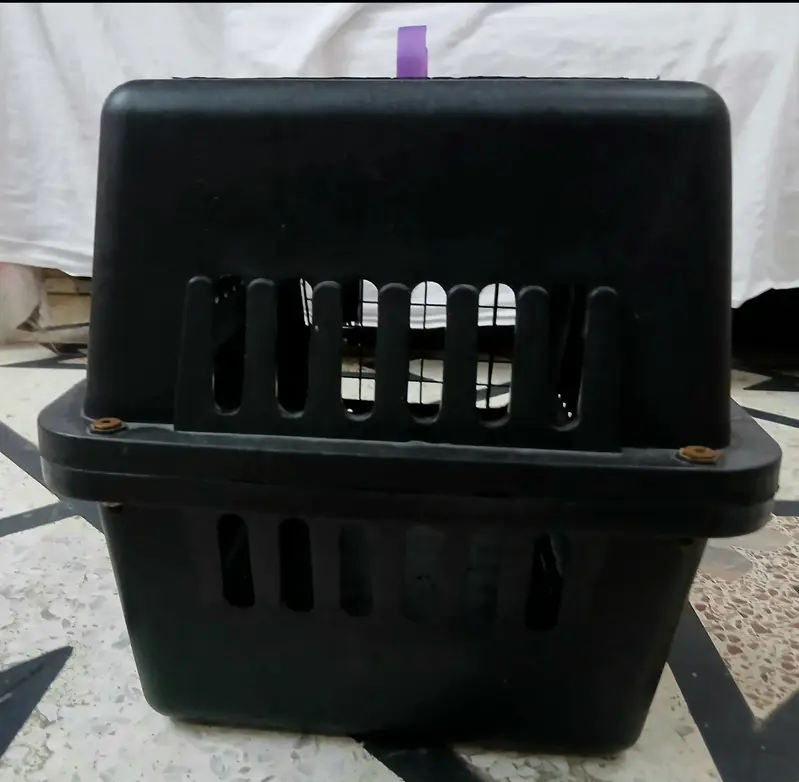 Pet Carrier Box for Cats & Dogs Black with purple components — photo 5