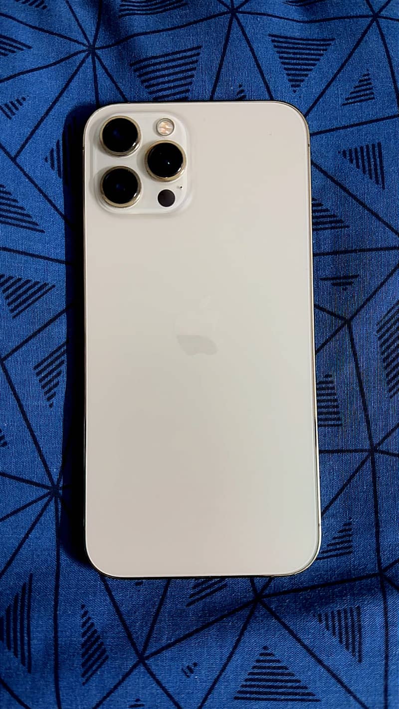 Apple iPhone 12 Pro Max 1