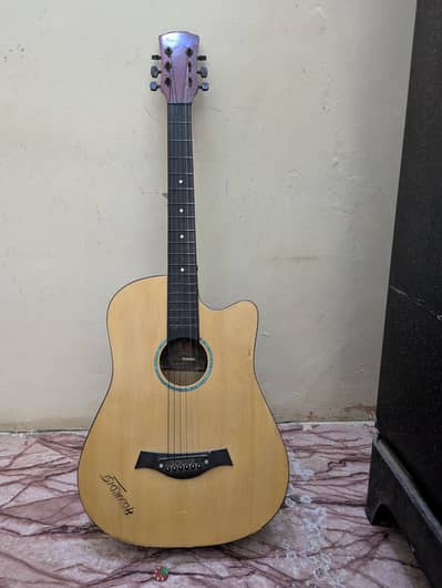 Acoustic Guitar for Sale – Budget Friendly