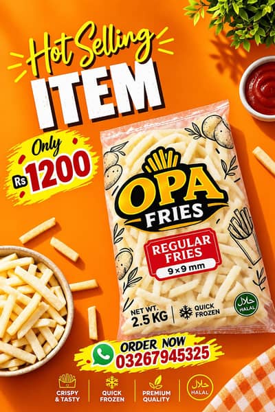 OPA SIMPLE FRIES 2.5KG