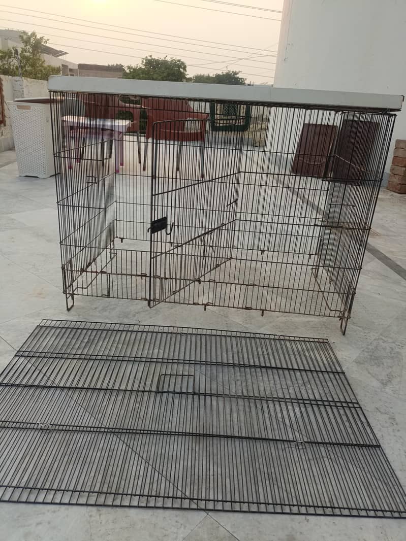 Hen cages 2