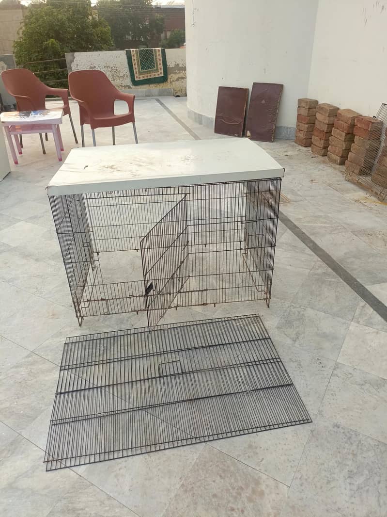 Hen cages 3