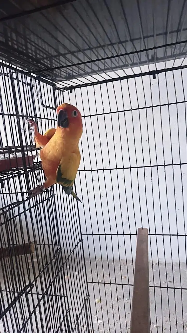 male female — photo 2