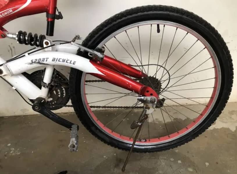 Magnum brook’s Apache MTB 1