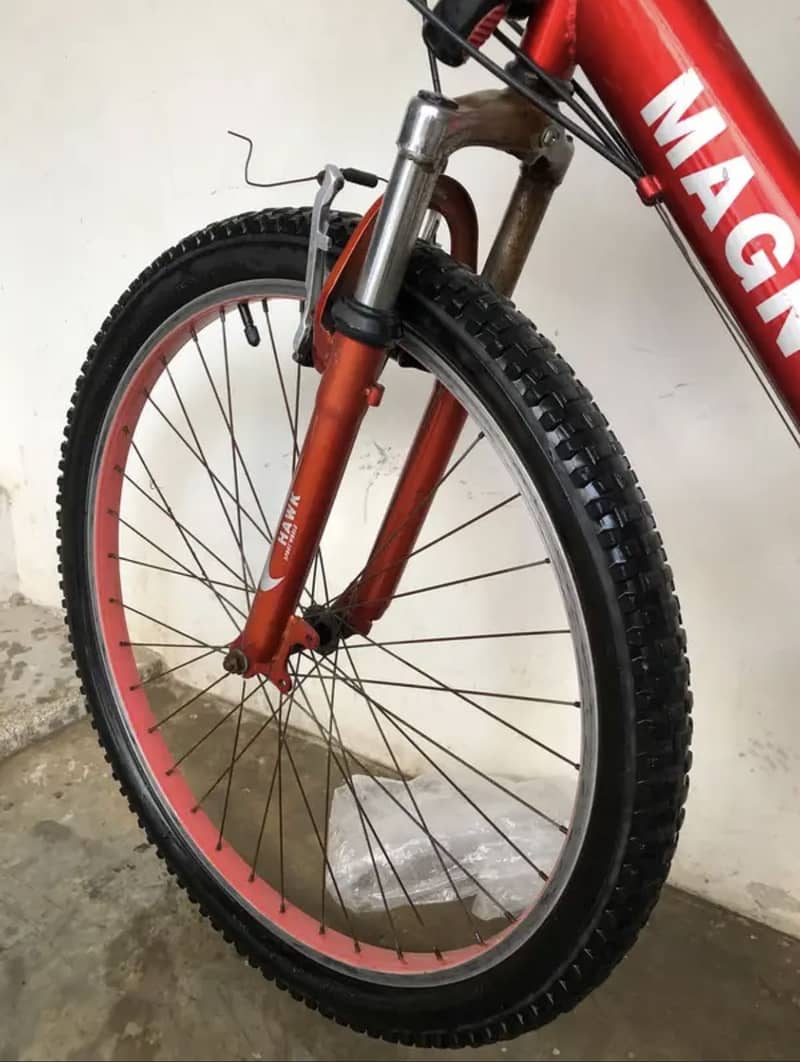 Magnum brook’s Apache MTB 2