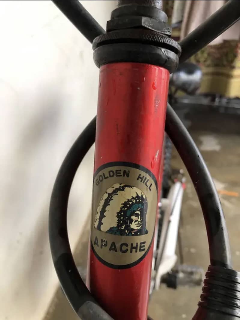 Magnum brook’s Apache MTB 4
