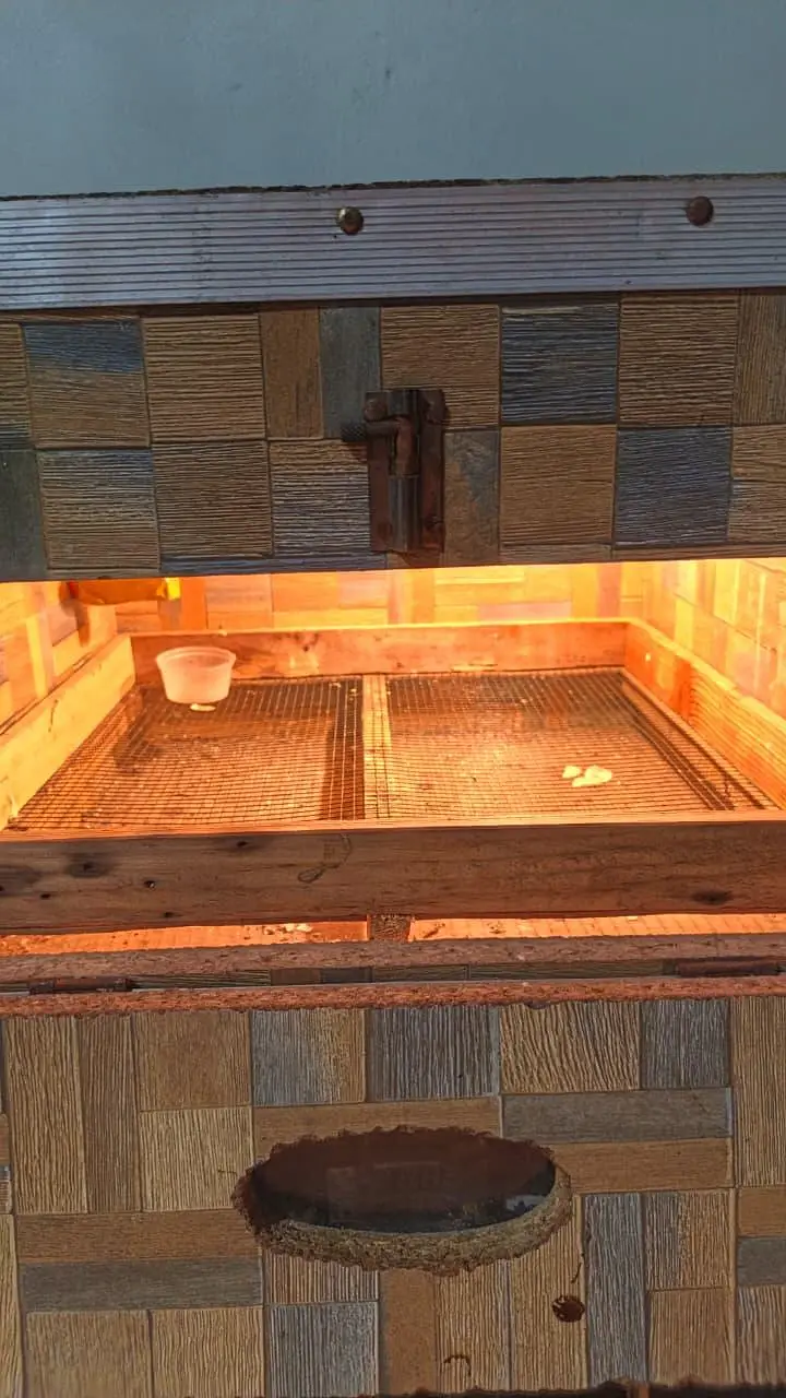 2 Incubator for sale — photo 4