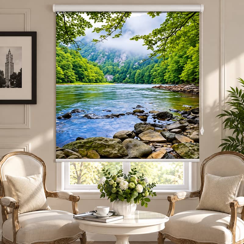 Customize Roller blind 0
