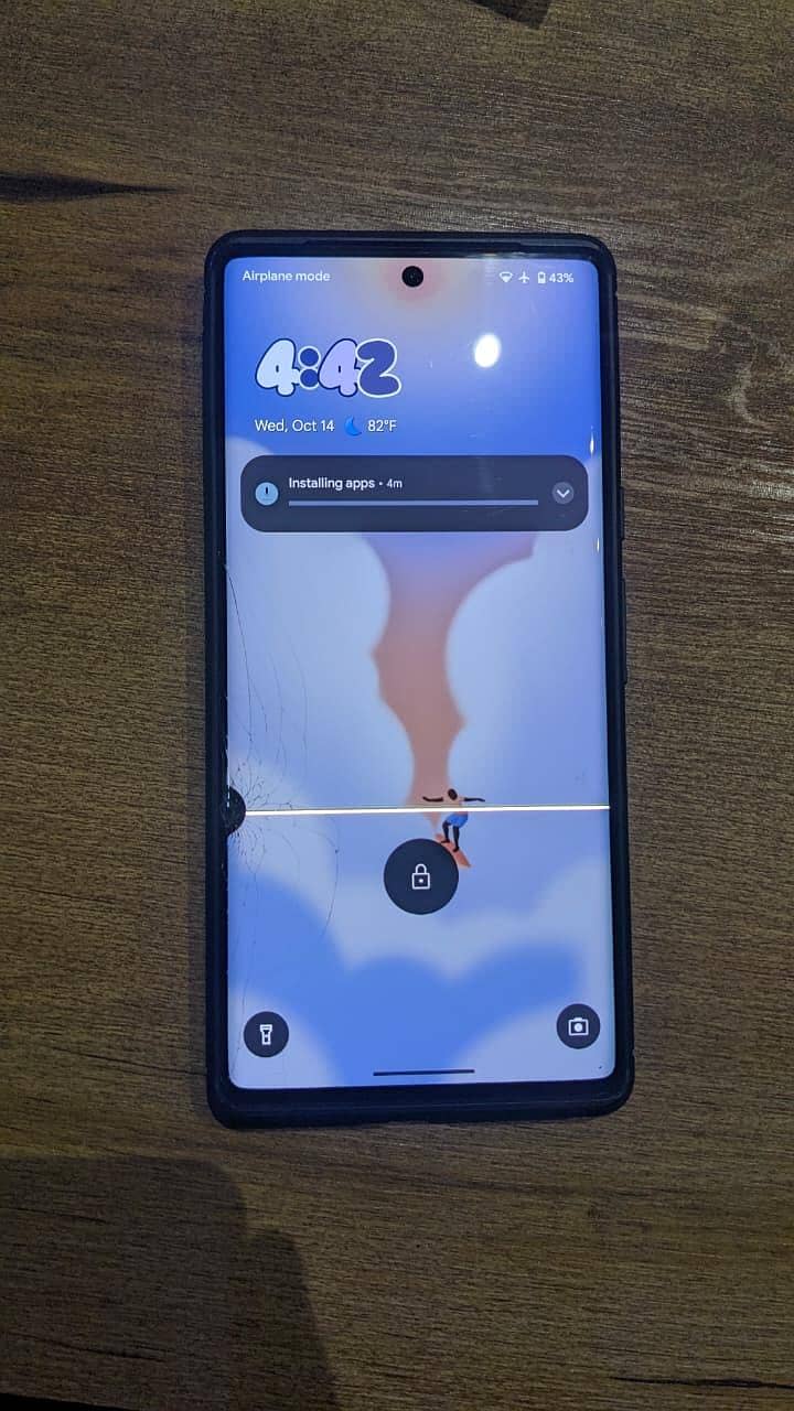 Google Pixel 6 Pro Non-PTA 4