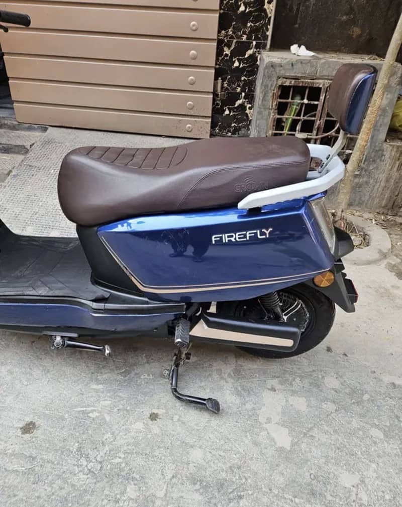 Crown firefly 1