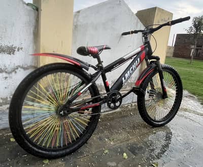 24-Inch L. M. CHI Mountain Bicycle for Sale
