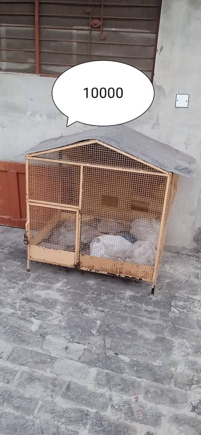 cages urgent sale