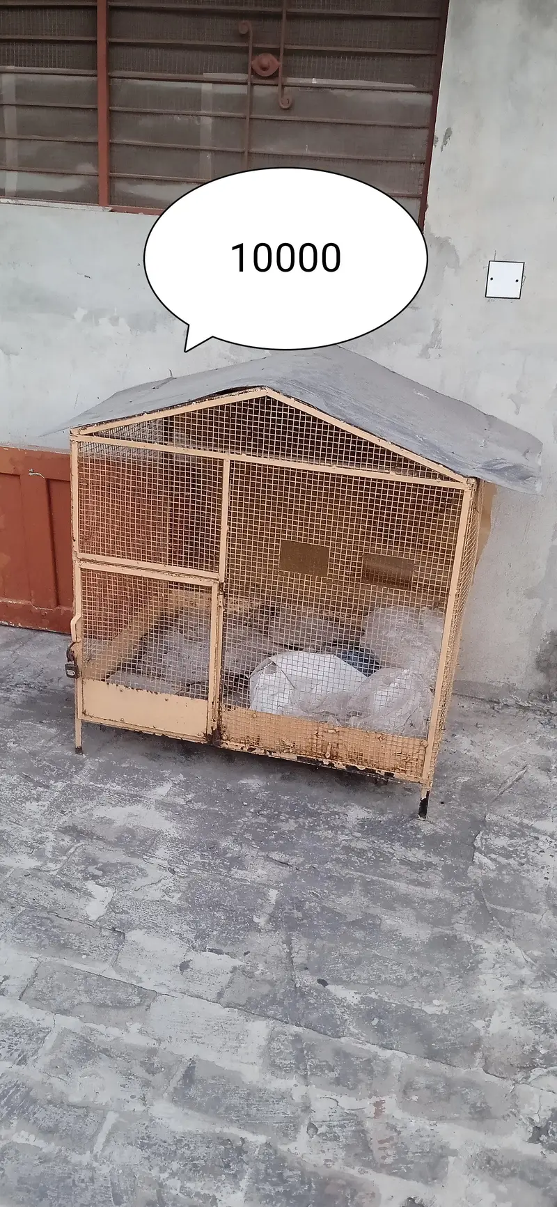 cages urgent sale — photo 2