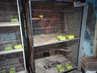 BIRDS CAGE 4 SALE