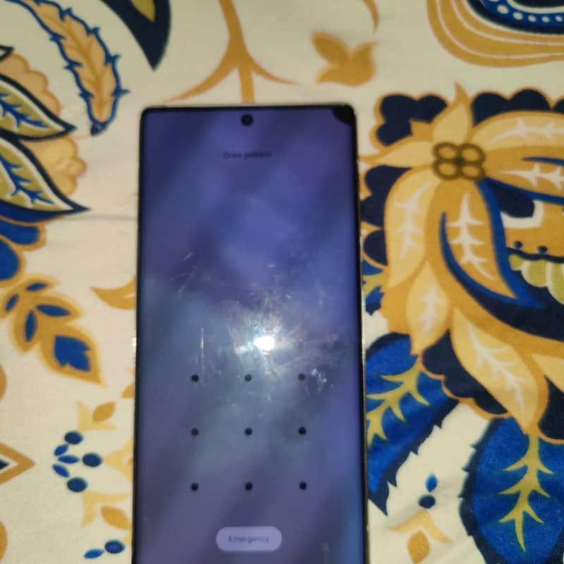 Google Pixel 6 Pro 1