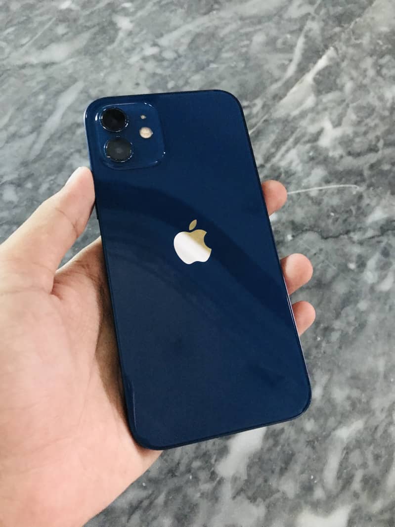 Apple iPhone 12 1