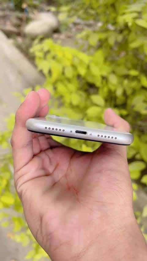 Apple iPhone 11 2