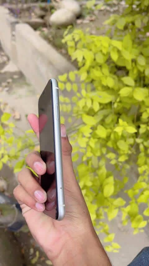 Apple iPhone 11 3