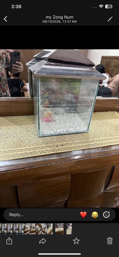 Small glass Aquarium