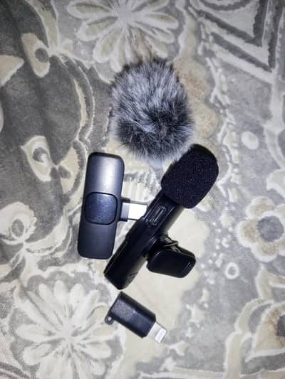 Microphone