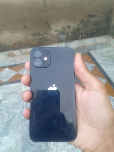 Apple iPhone 12
