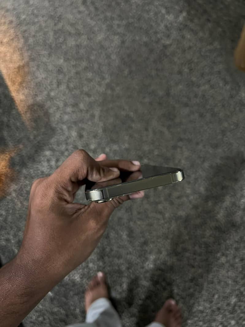 Apple iPhone 13 Pro Max 5