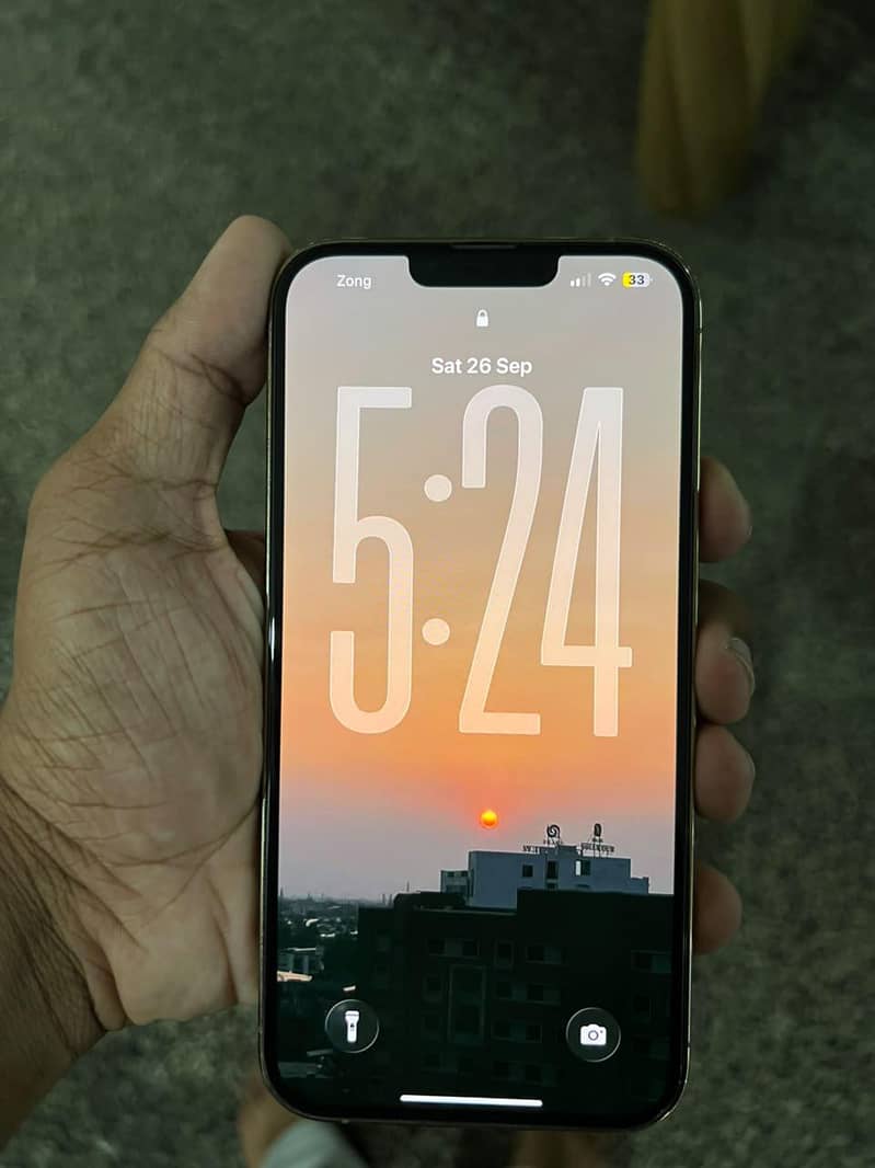 Apple iPhone 13 Pro Max 6