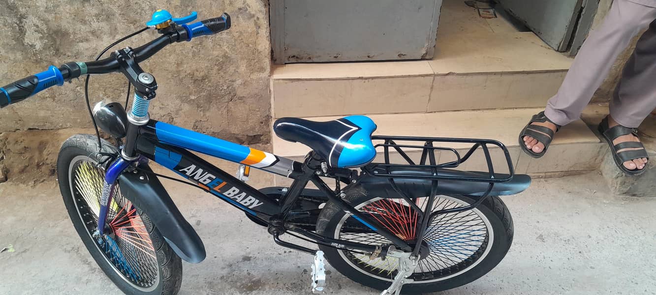 China cycle 5