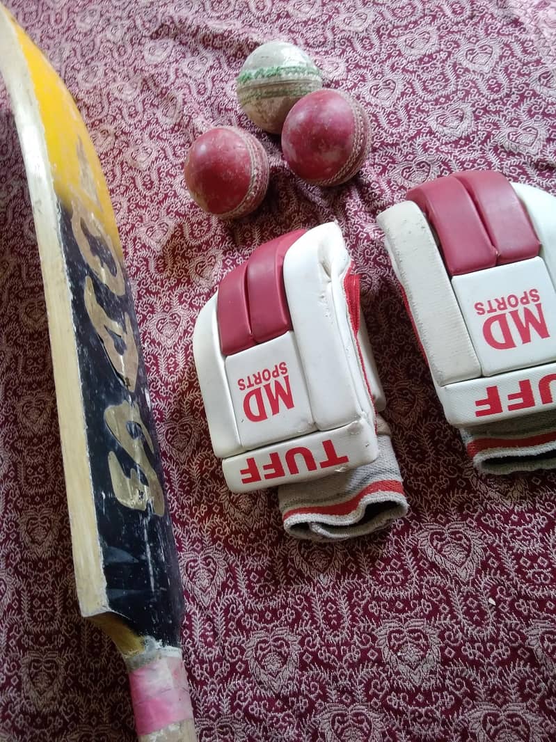 Used Cricket Kit Stuff 4