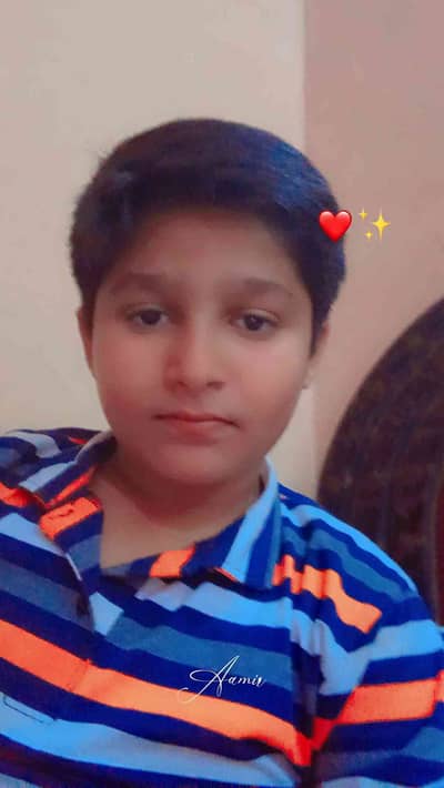 amir Hussain 