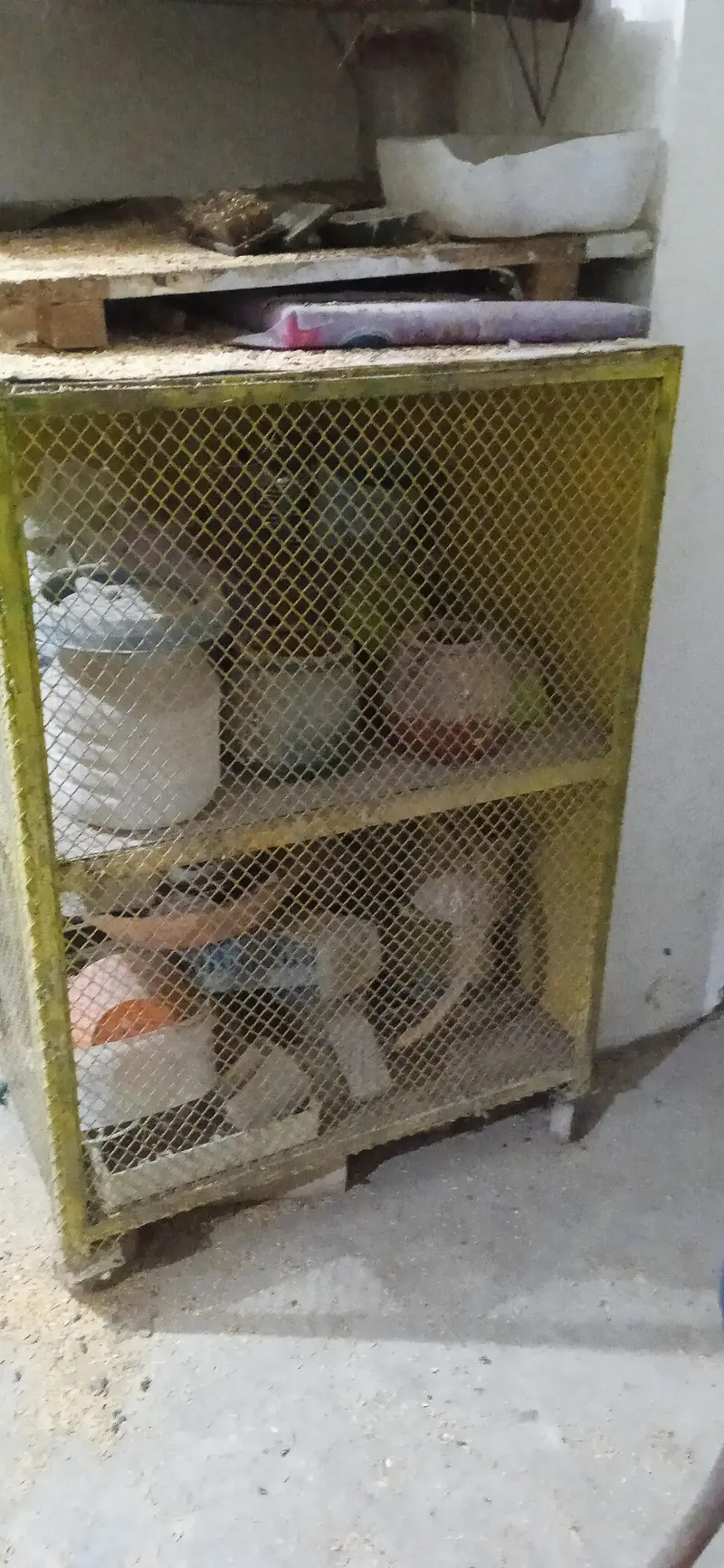 cages urgent sale — photo 3