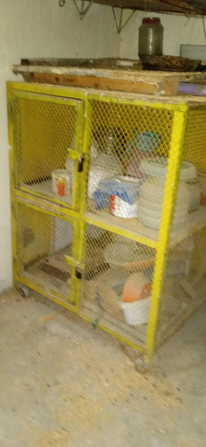 cages urgent sale — photo 4