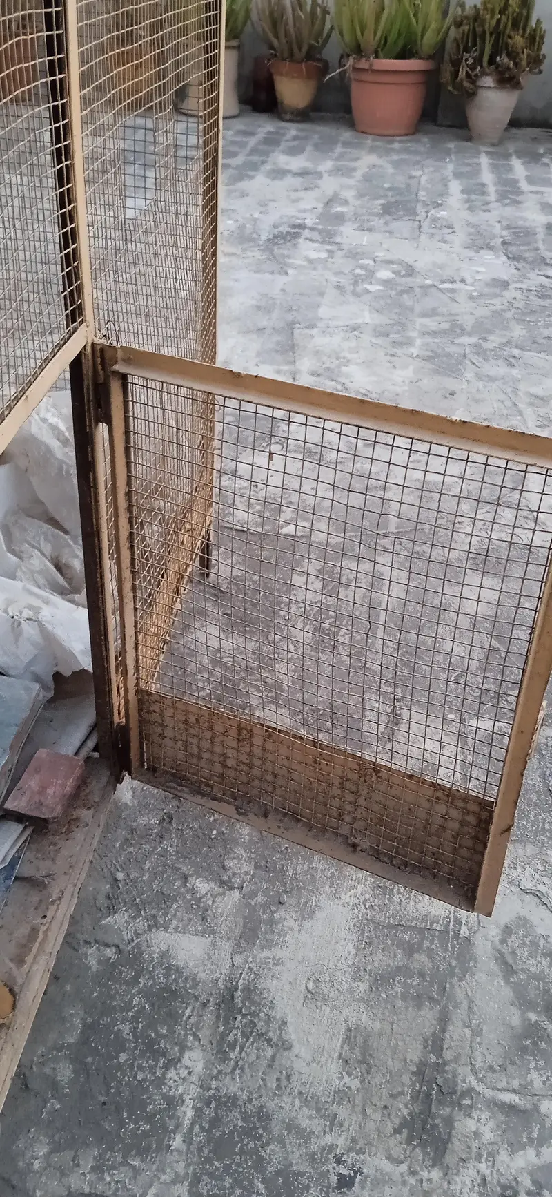 cages urgent sale — photo 5