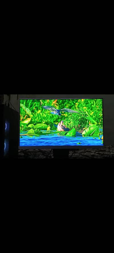 24 Inch's borderless IPS panel Monitor For Sale