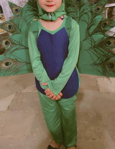 I want to sale peacock costume