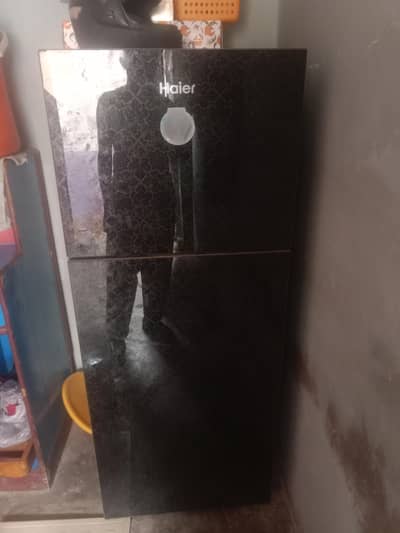 03162671206