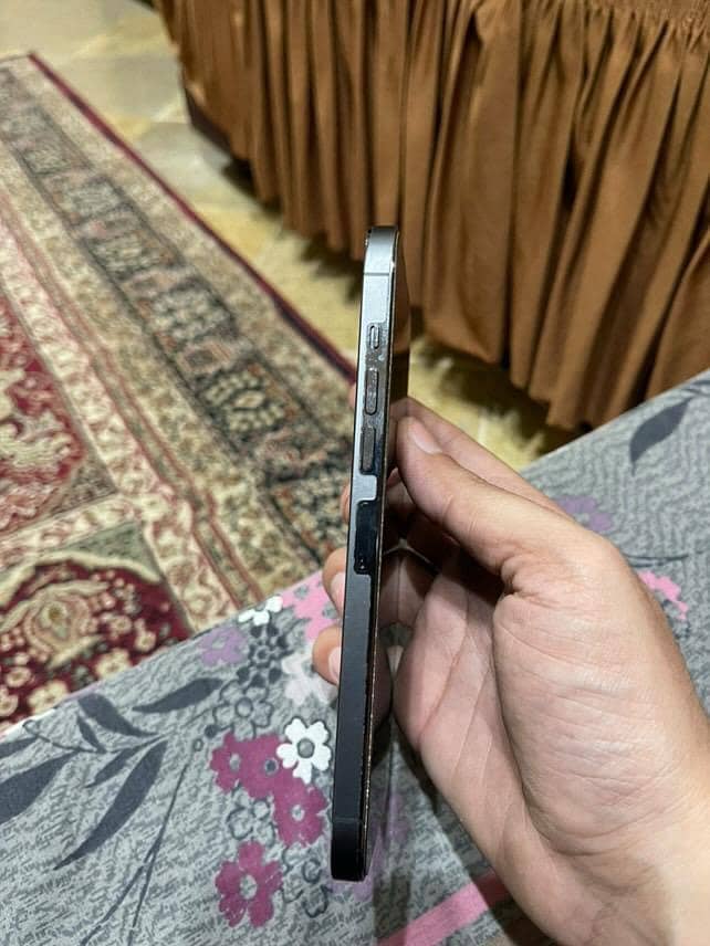 Apple iPhone 13 Pro Max 2
