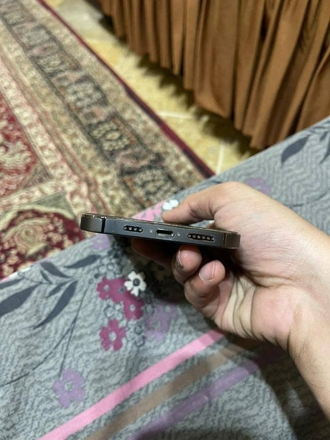 Apple iPhone 13 Pro Max 3