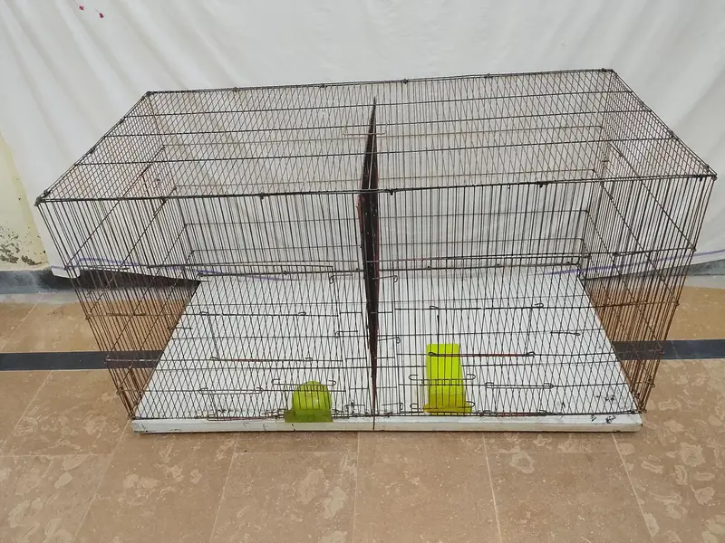 Parrot Cage | Parrot | Hen Cage | Rabbit Cage | Cat Cage | Aseel Cage — photo 2