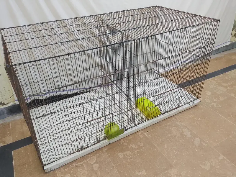 Parrot Cage | Parrot | Hen Cage | Rabbit Cage | Cat Cage | Aseel Cage — photo 3