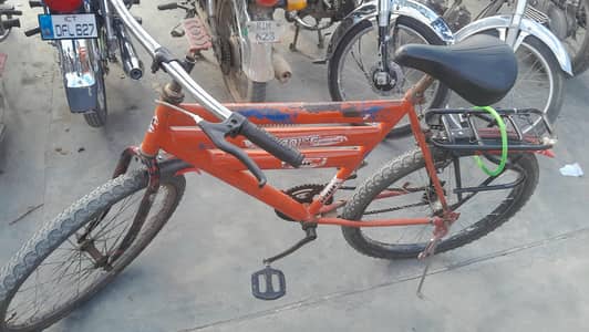 Bicycle 24"