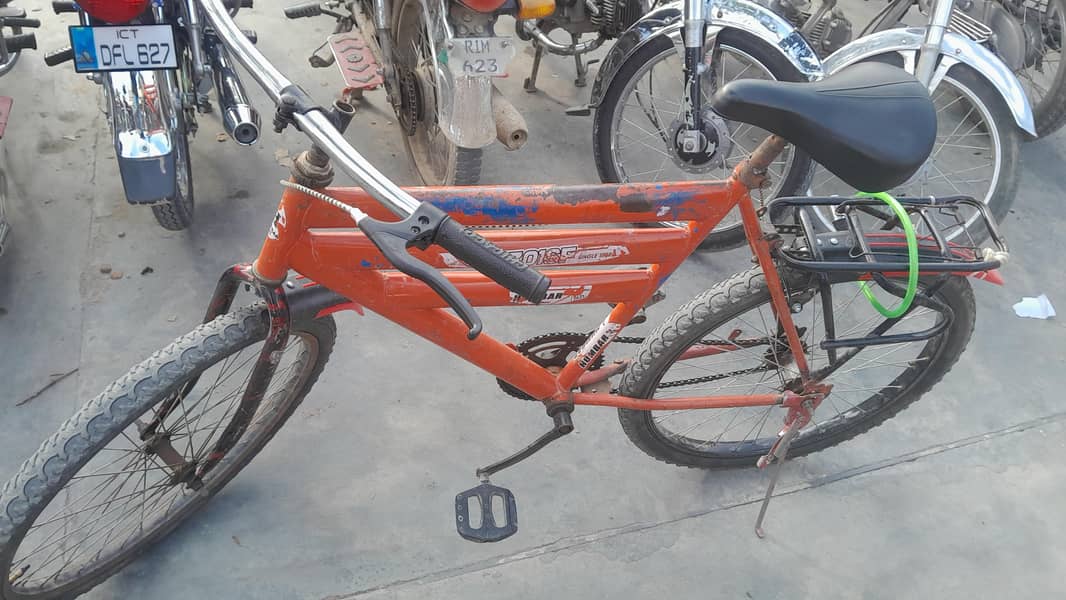 Bicycle 24" 0