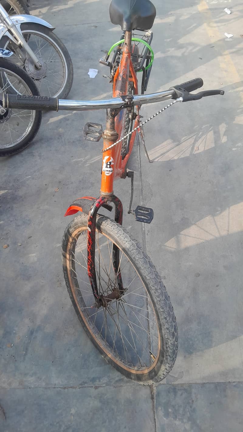 Bicycle 24" 2